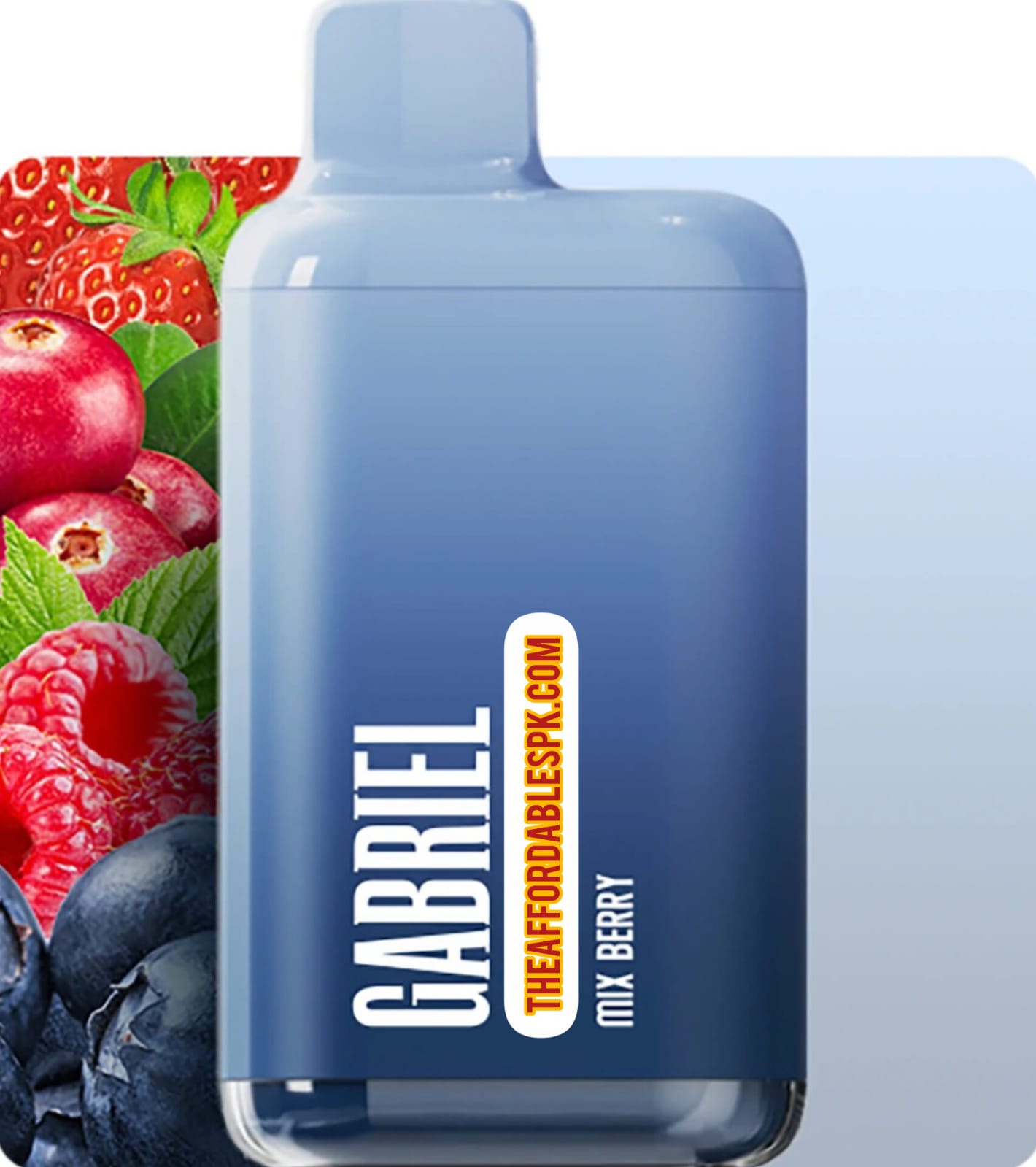 Gabriel BF – Premium Flavor Companion